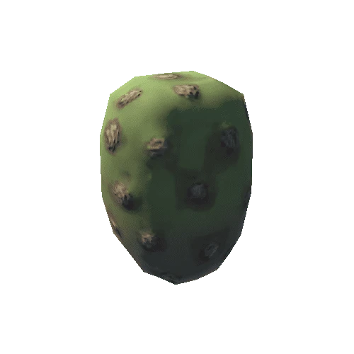 Cactus03i