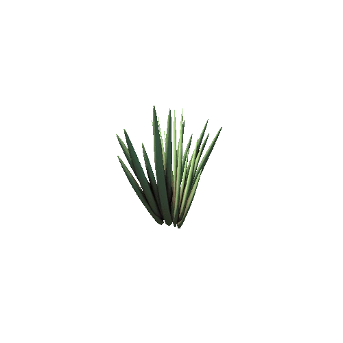 Grass01b2