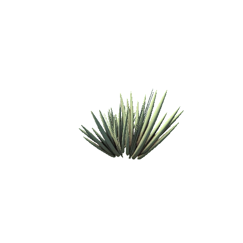 Grass01c1