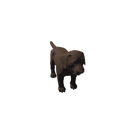 Puppy_Labrador_HIghPoly_c3