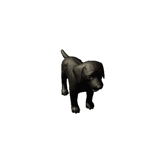 Puppy_Labrador_LowPoly_c2