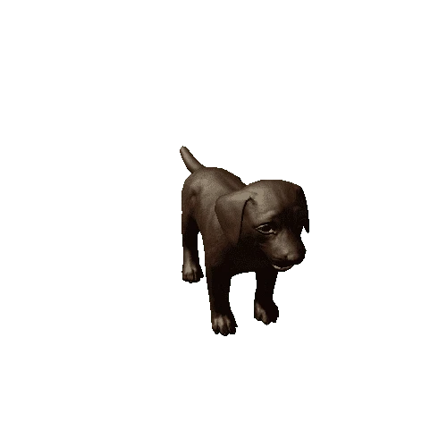 Puppy_Labrador_LowPoly_c3