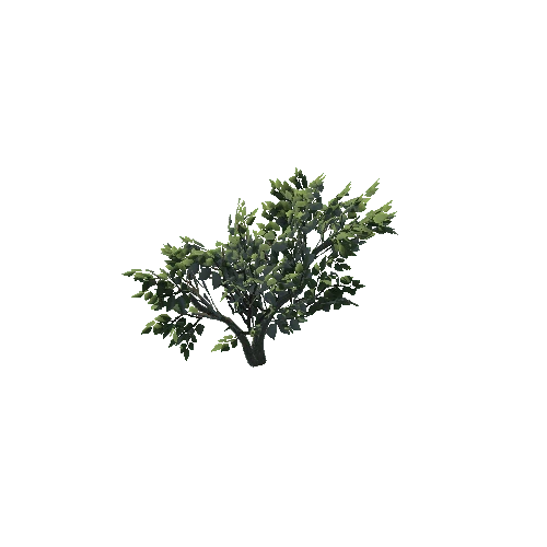 SM_Plant_Bush_02