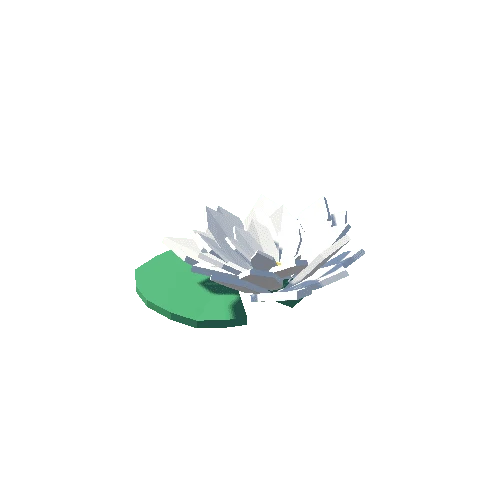 FF_Water_Lily_1