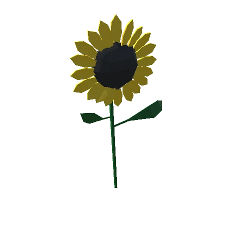 Farm_Sunflower_1