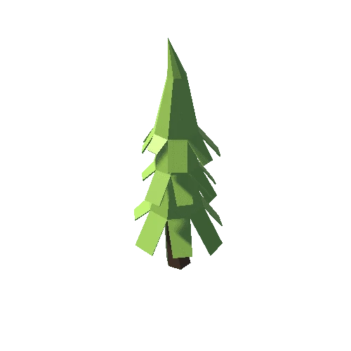 MA_Spruce_2