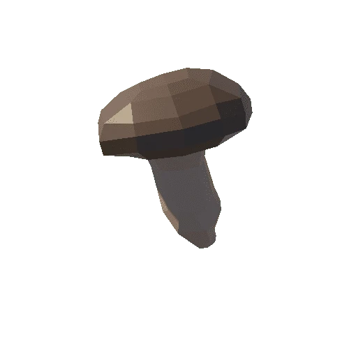 SK_Mushroom_2