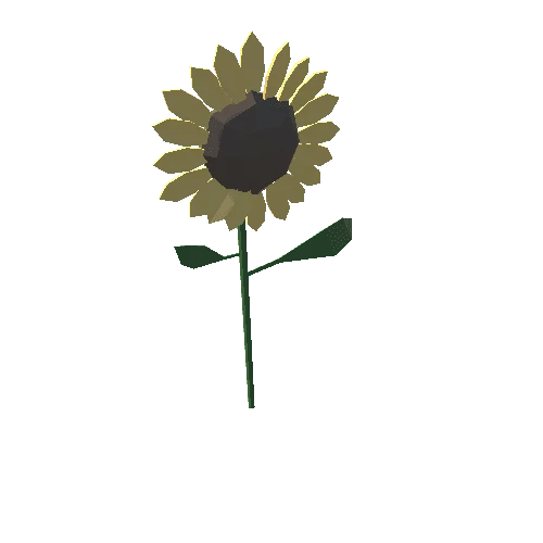 SS_Sunflower