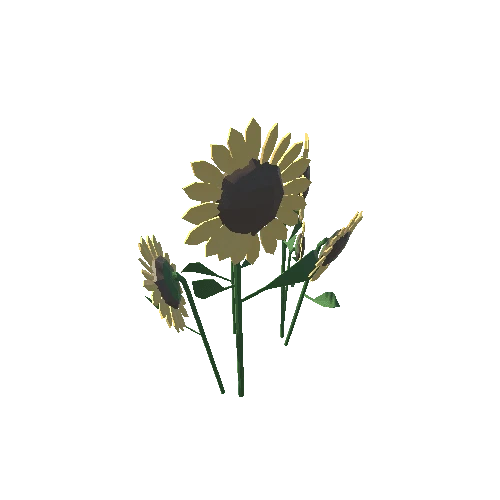 SS_Sunflowers_1