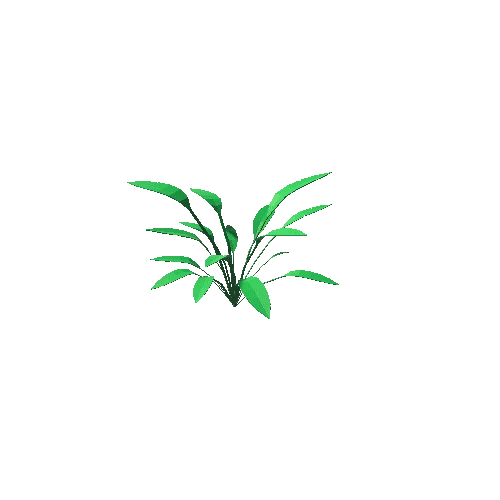 Tropic_shrub_1