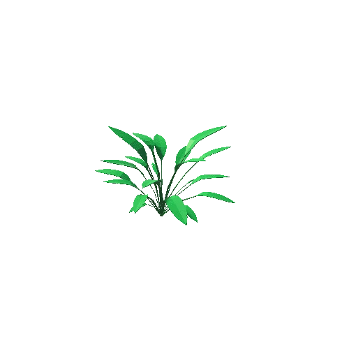 Tropic_shrub_2