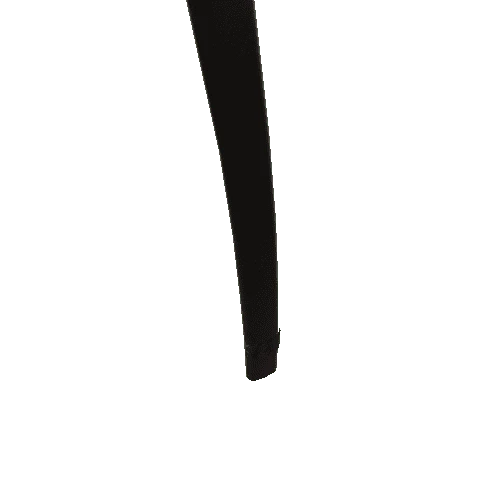 Wakizashi_Scabbard