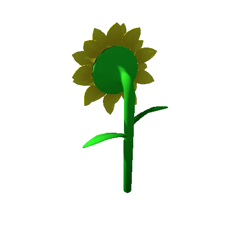 sunflower_MP