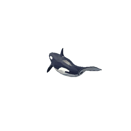 Orca