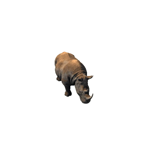 Rhino2_RM_SHP_Dirt