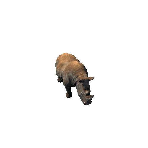 Rhino2_RM_SLP_Dirt