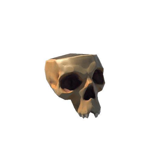 SM_Potion_Props_Artefacts_Skull_01