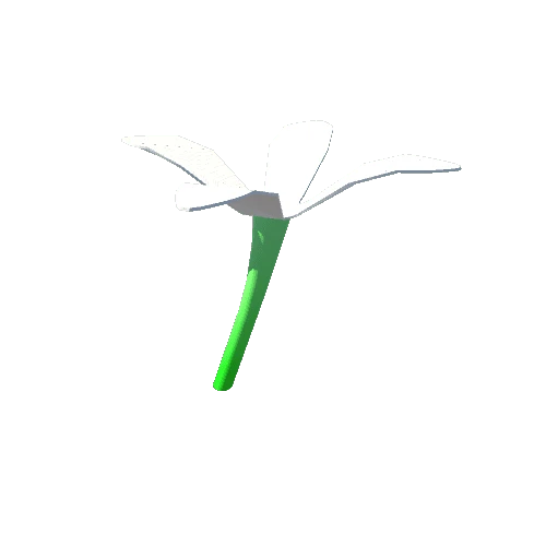 flower_003