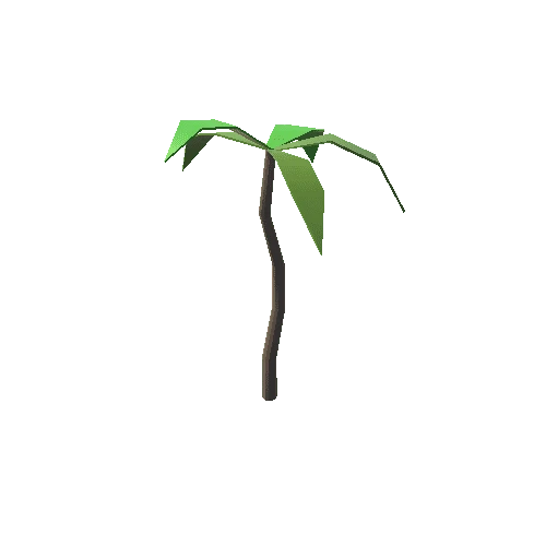 City_Palm_2