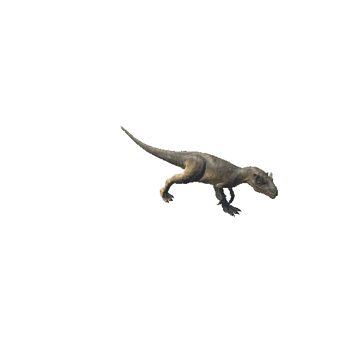 A_22_Allosaurus_ForwardLEFT_Head_Running_Anim