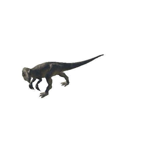 A_34_Allosaurus_ForwardRIGHT90_Head_Walking_Anim