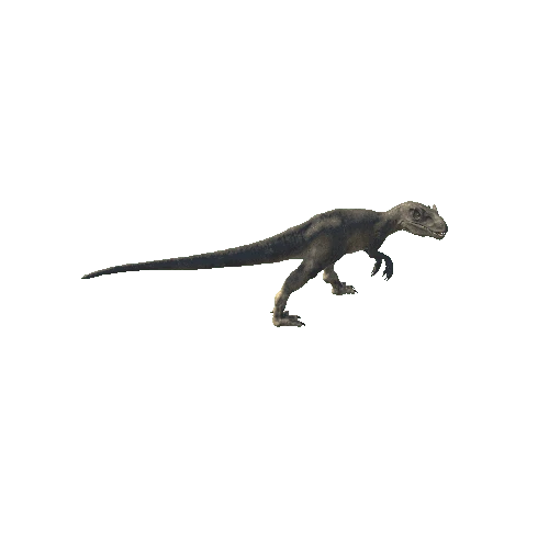 A_38_Allosaurus_ForwardLEFT90_Head_Walking_Anim