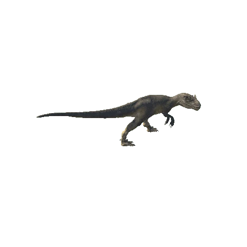 A_52_Allosaurus_BackwardLEFT90_Head_Walking_Anim