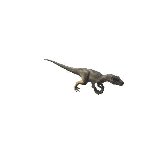 A_58_Allosaurus_ForwardLEFT_LegBroken_Walking_Anim