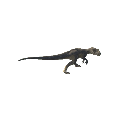 A_61_Allosaurus_ForwardLEFT90_Head_LegBroken_Walking_Anim