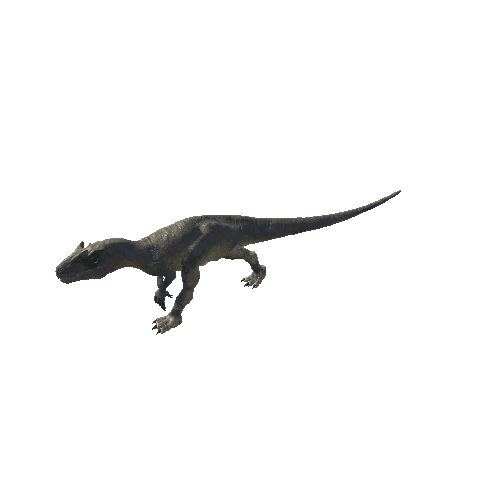 A_68_Allosaurus_ForwardRIGHT90_SpeedRunnig_Anim