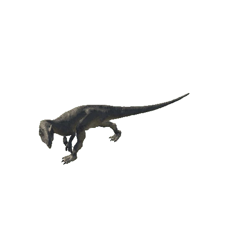 A_69_Allosaurus_ForwardRIGHT90_Head_SpeedRunnig_Anim