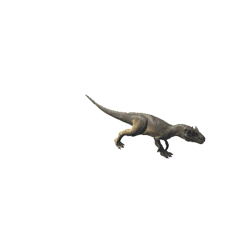 A_70_Allosaurus_ForwardLEFT_SpeedRunnig_Anim