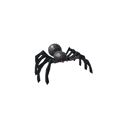 spider_black