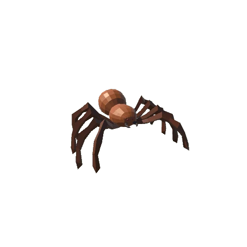 spider_brown