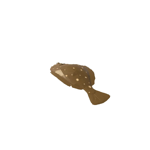 Flatfish