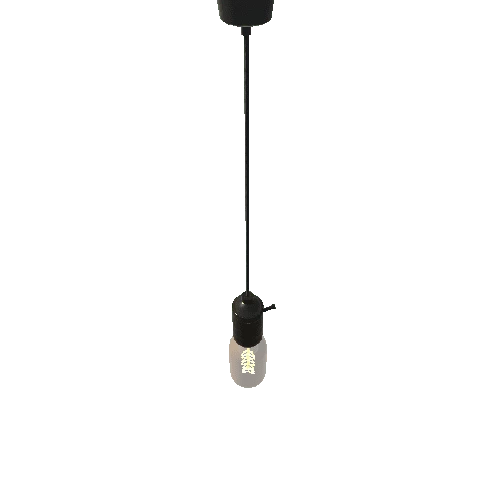 ceilingbulb1