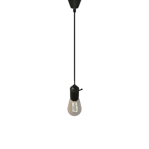 ceilingbulb2