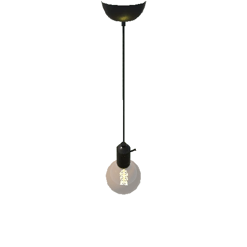 ceilingbulb4