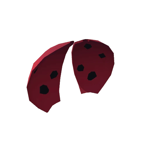 Wings_Ladybug