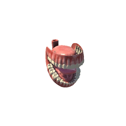 RiggedTeeth