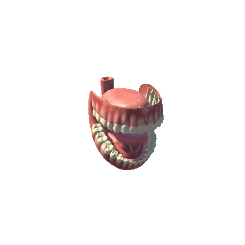 RiggedTeeth