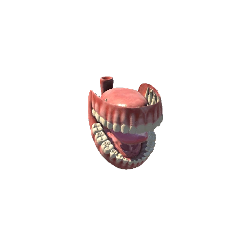 RiggedTeeth