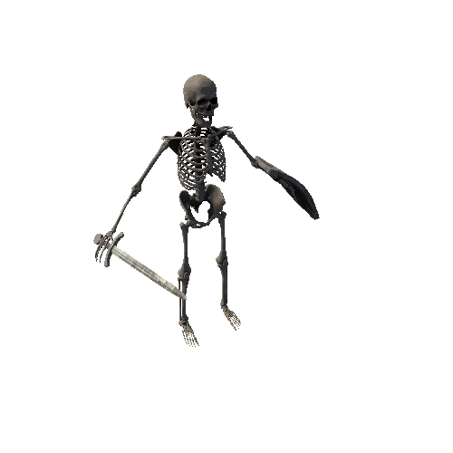 SkeletonWarrior