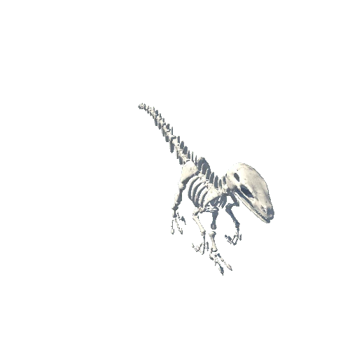 dinosaur_0