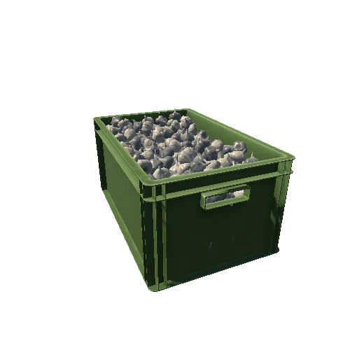 SM_VEGplastic_garlicBox