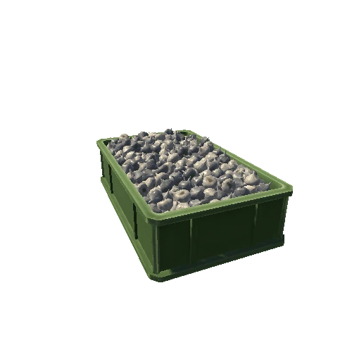 SM_VEGplastic_garlicBox3