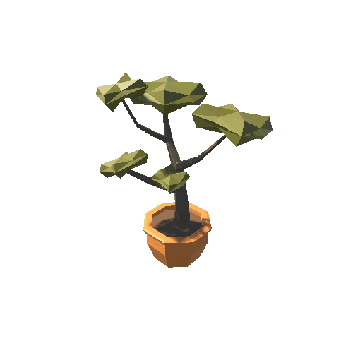 Bonsai