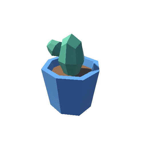 Cactus_1