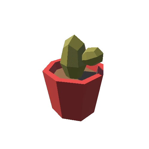 Cactus_2