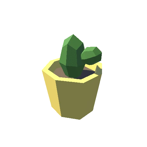 Cactus_3